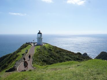 Fullers Cape Reinga and Ninety Mile Beach Tour